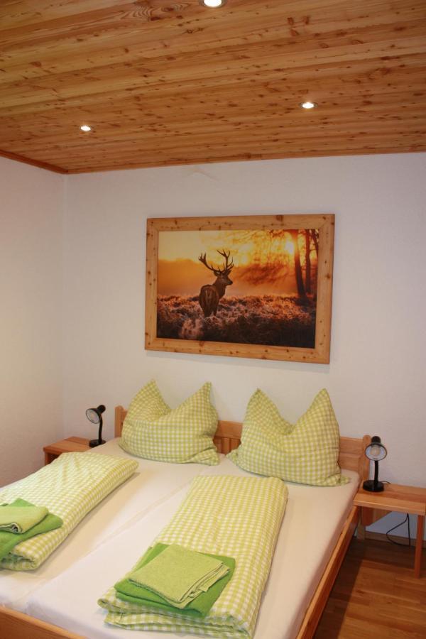 Chalet Ferienhaus Radmer Radmer an der Hasel Exteriér fotografie
