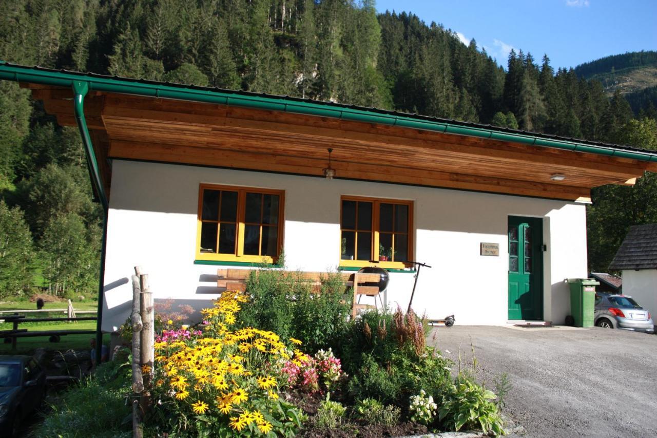 Chalet Ferienhaus Radmer Radmer an der Hasel Exteriér fotografie