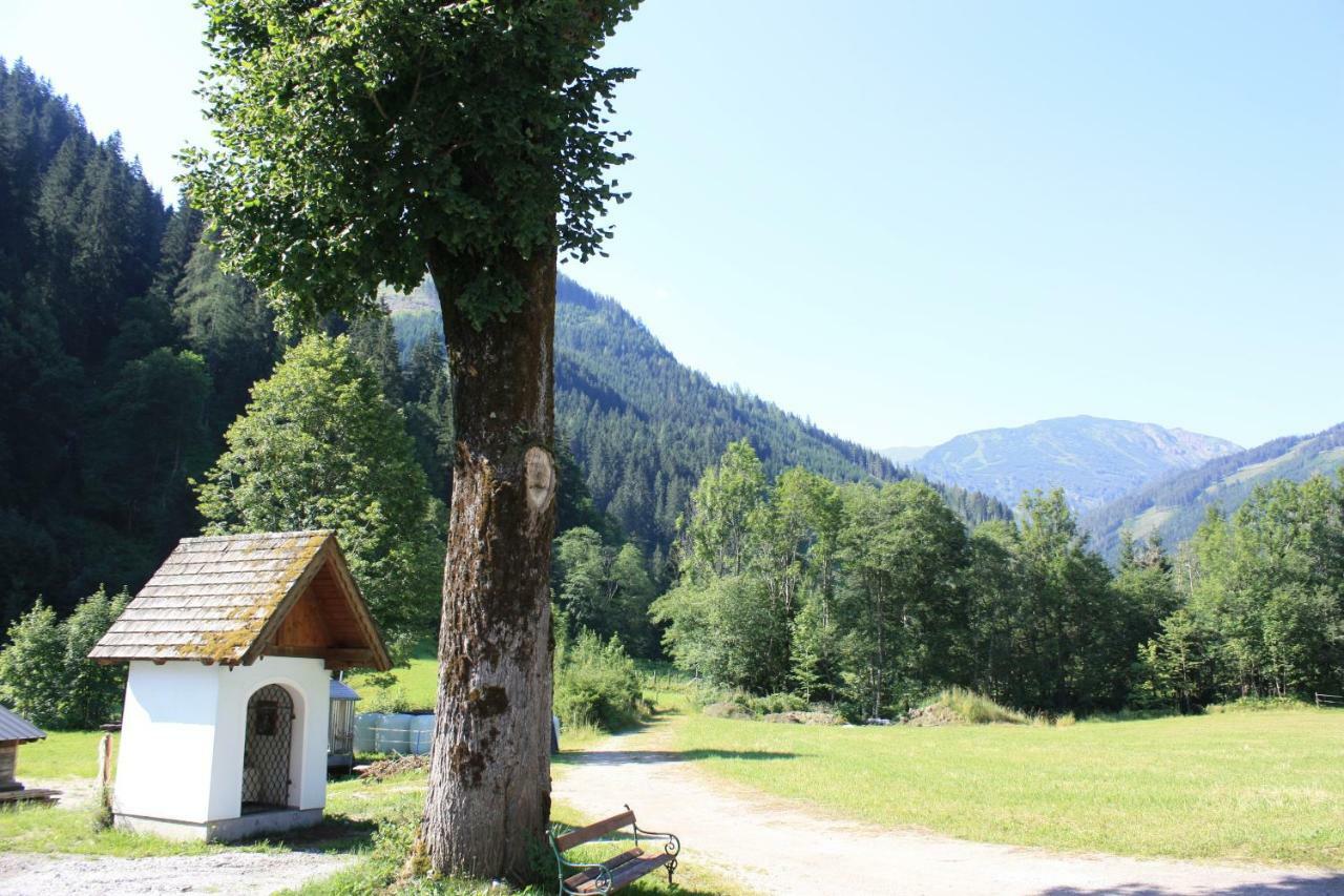 Chalet Ferienhaus Radmer Radmer an der Hasel Exteriér fotografie